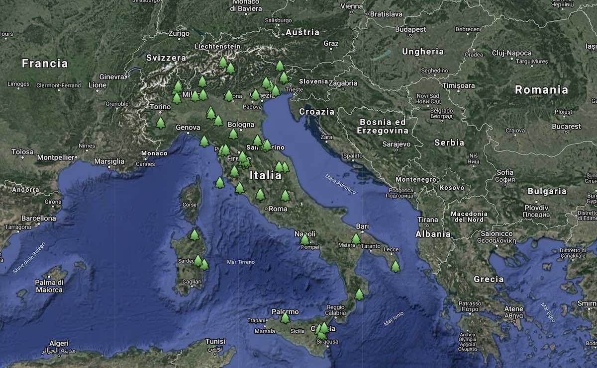 Mediasystem-Communication-Digital-Agency-More-Alberi-Monumentali-Italia-Google-Maps.